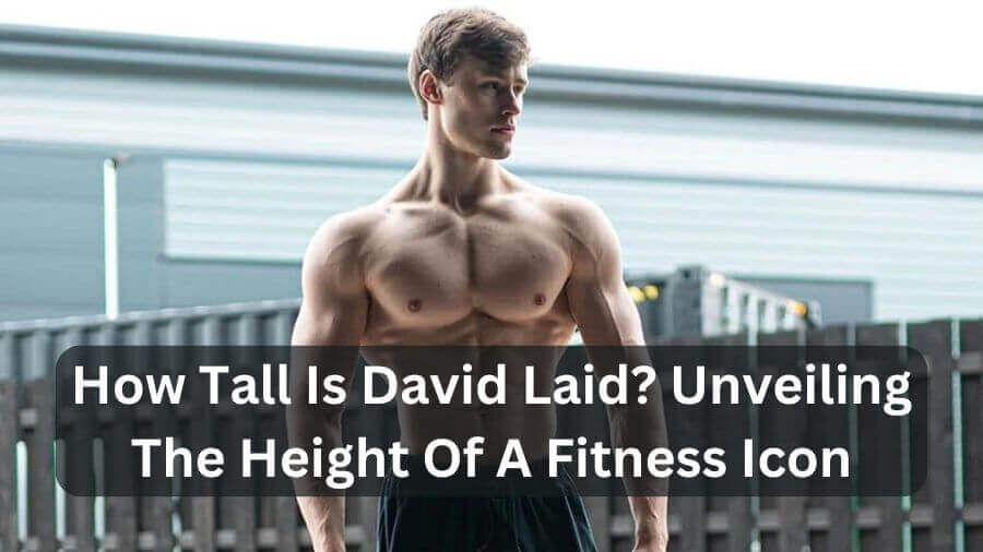 How Tall Is David Laid Unveiling The Height Of A Fitness Icon