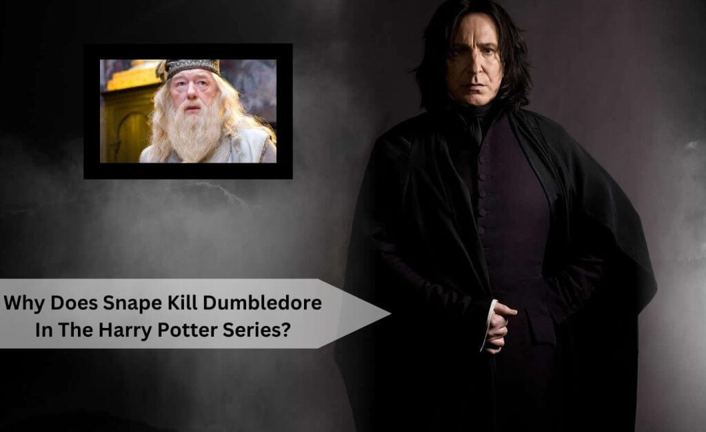 Why Does Snape Kill Dumbledore In The Harry Potter Series?