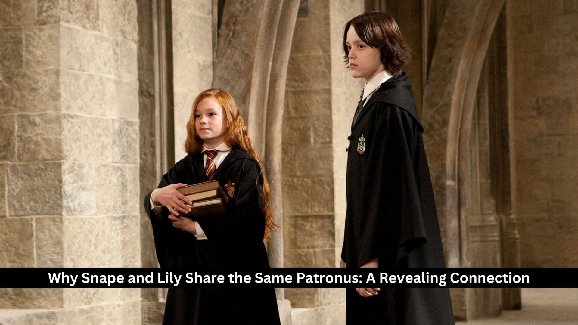 Why Snape and Lily Share the Same Patronus A Revealing Connection