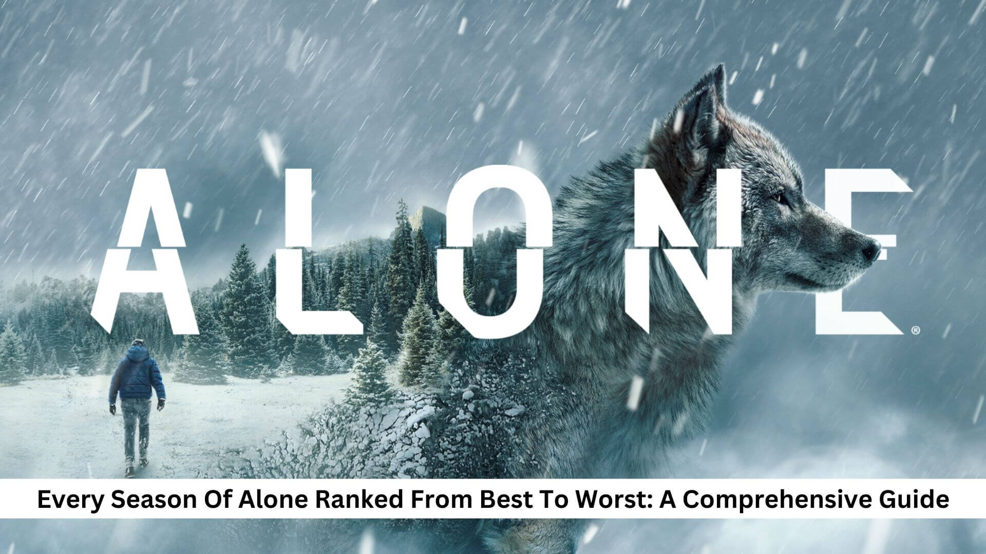 Every Season Of Alone Ranked From Best To Worst A Comprehensive Guide