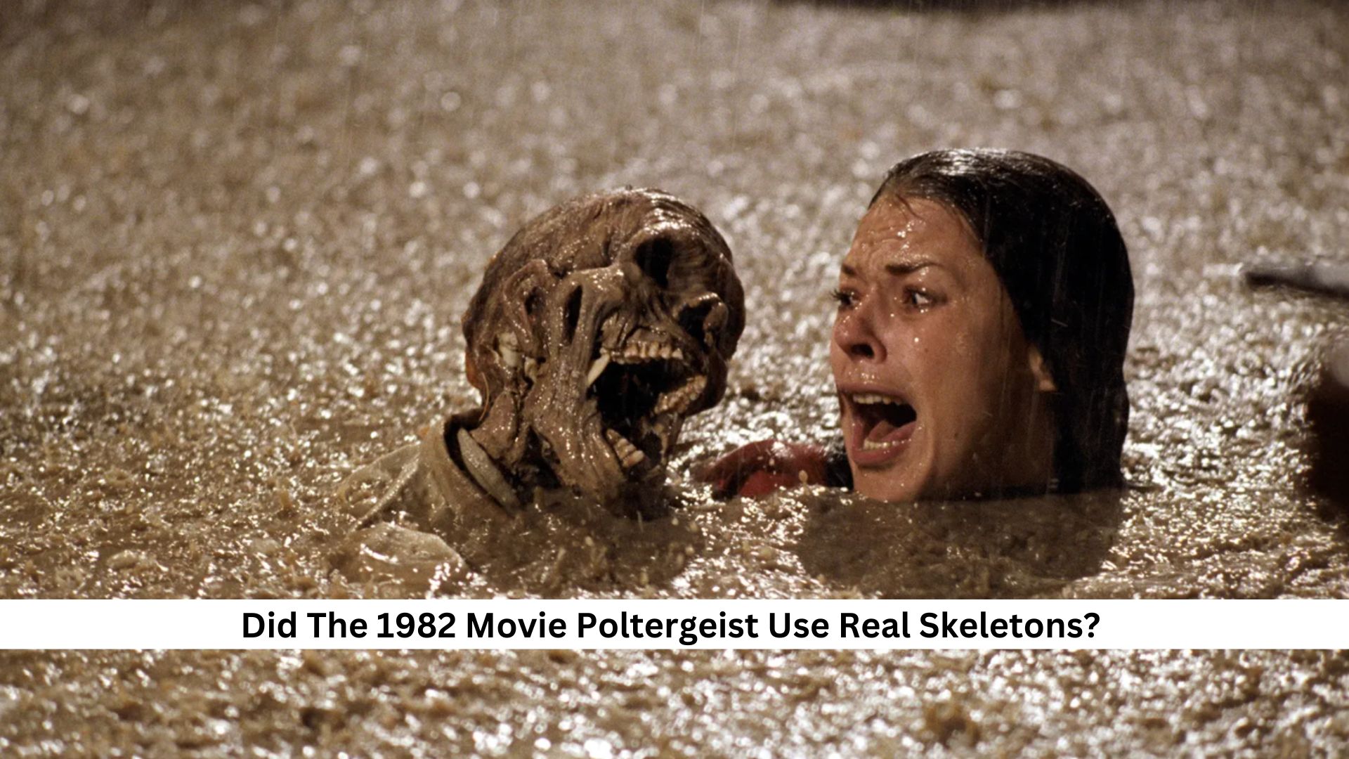 Did The 1982 Movie Poltergeist Use Real Skeletons?