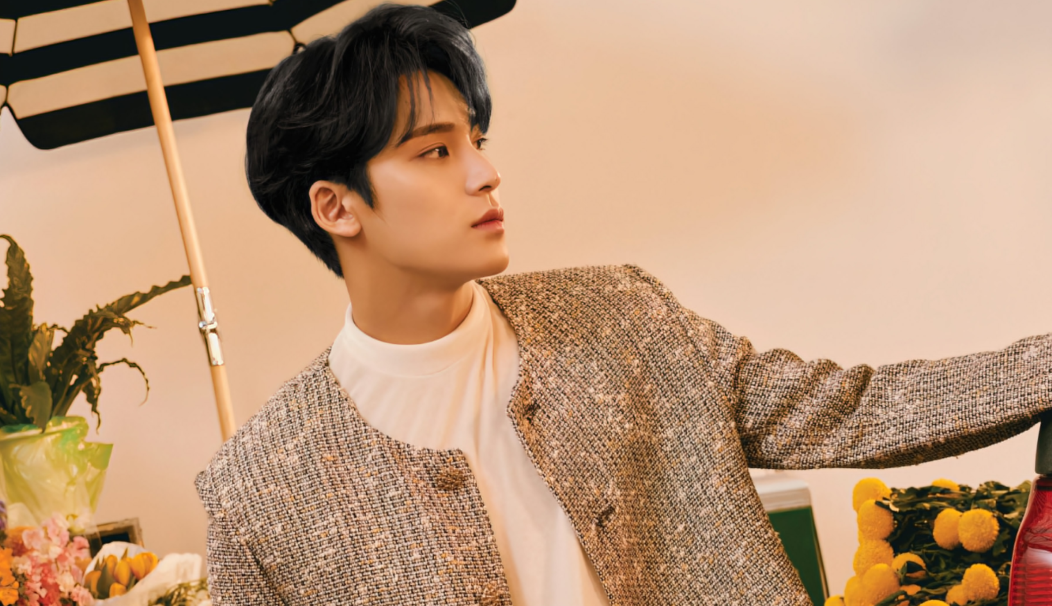 Mingyu's Profile