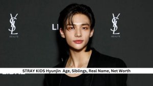 STRAY KIDS Hyunjin Age, Siblings, Real Name, Net Worth