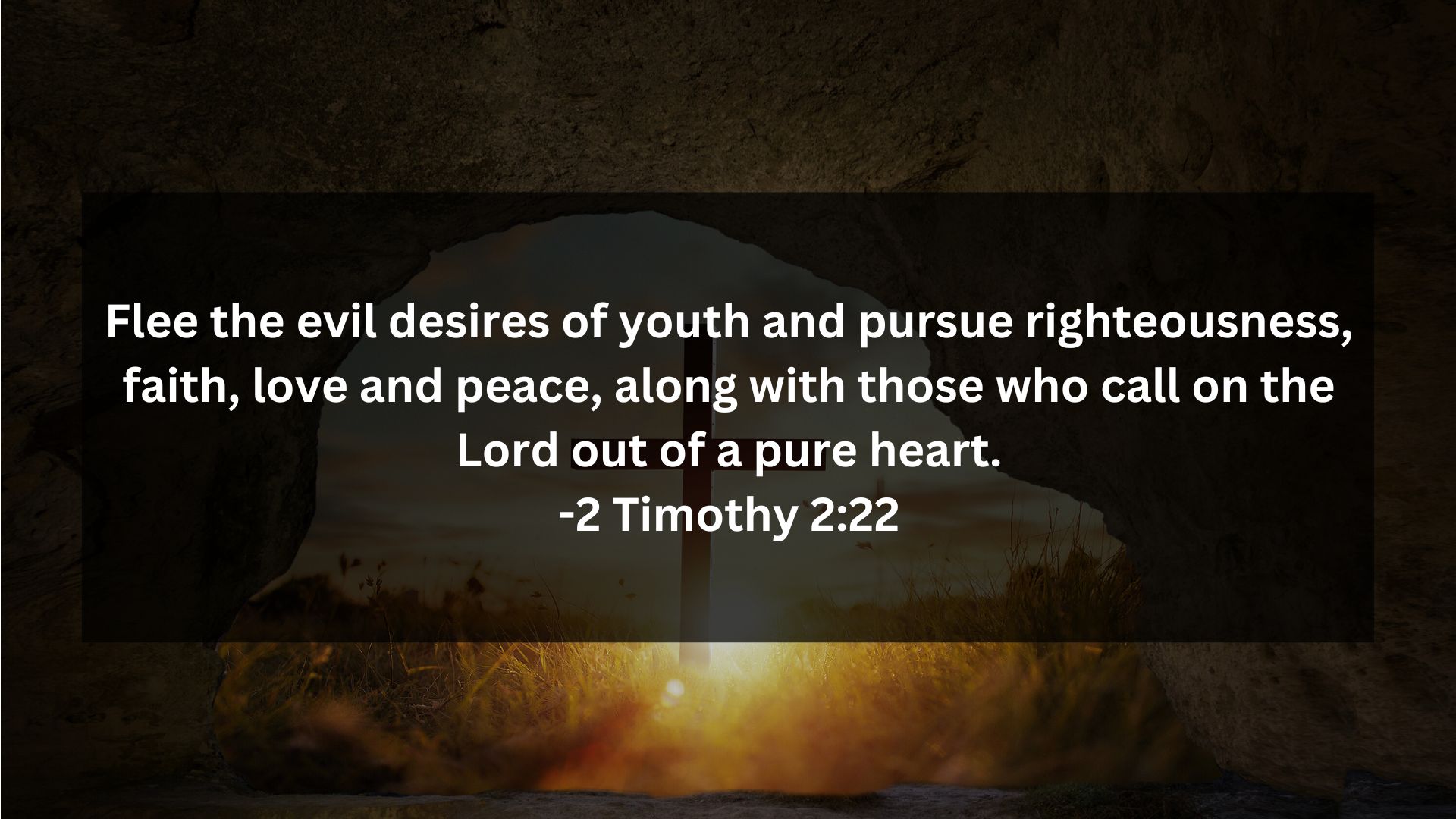 Bible Verses for Resisting Temptation 2 Timothy 222