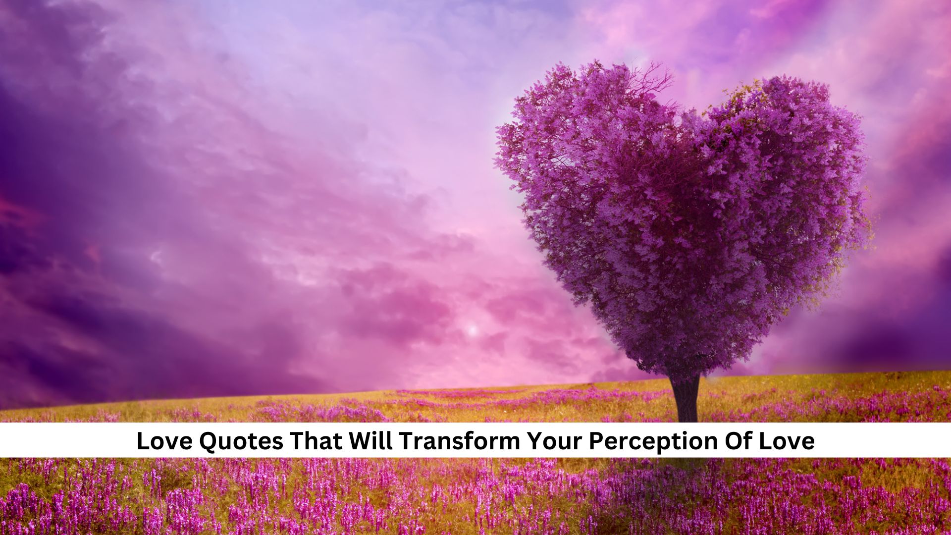 Love Quotes That Will Transform Your Perception Of Love