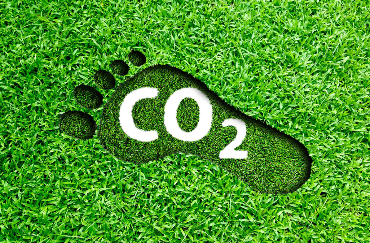 Understanding Carbon Footprint