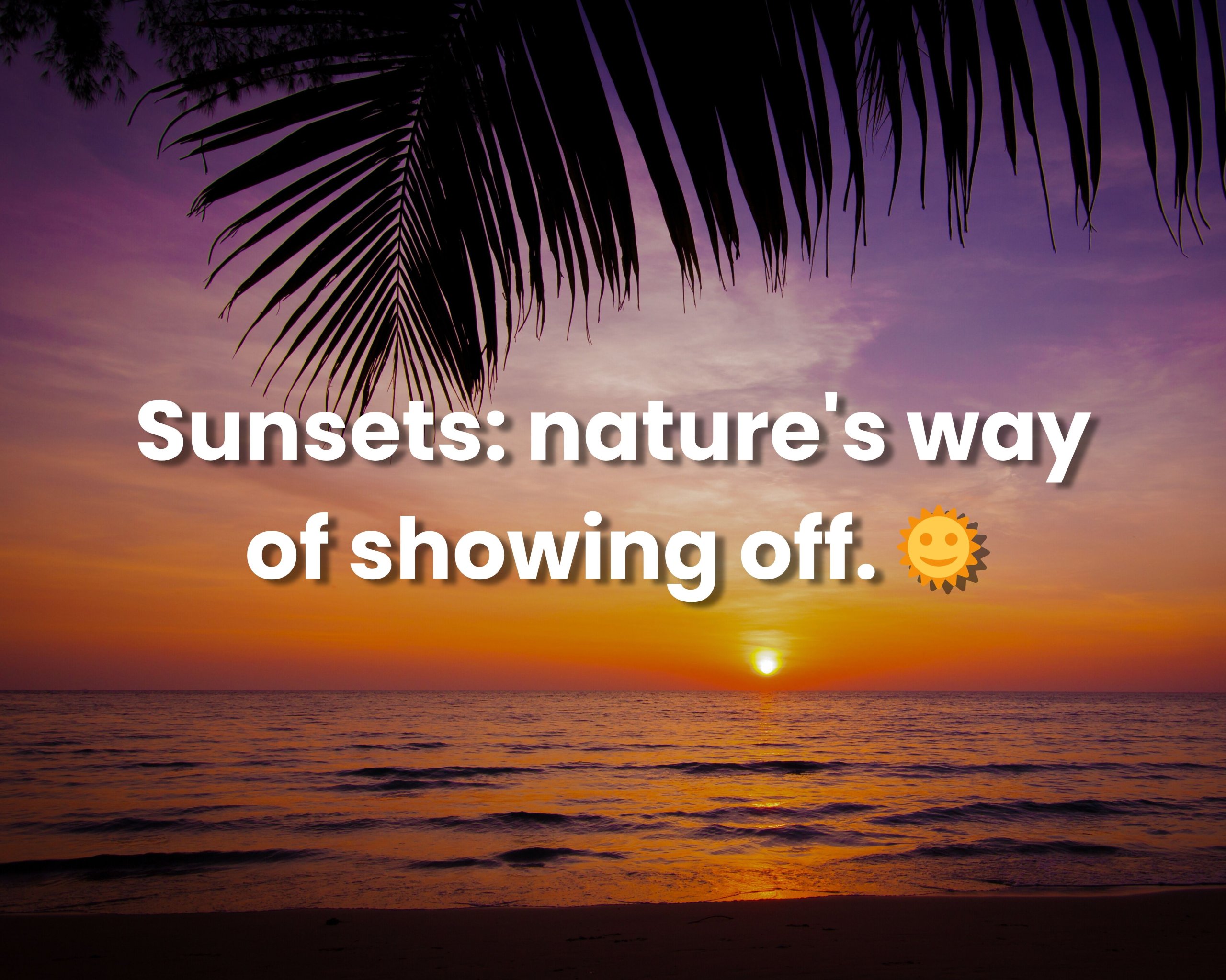 Funny Sunset Captions for Instagram