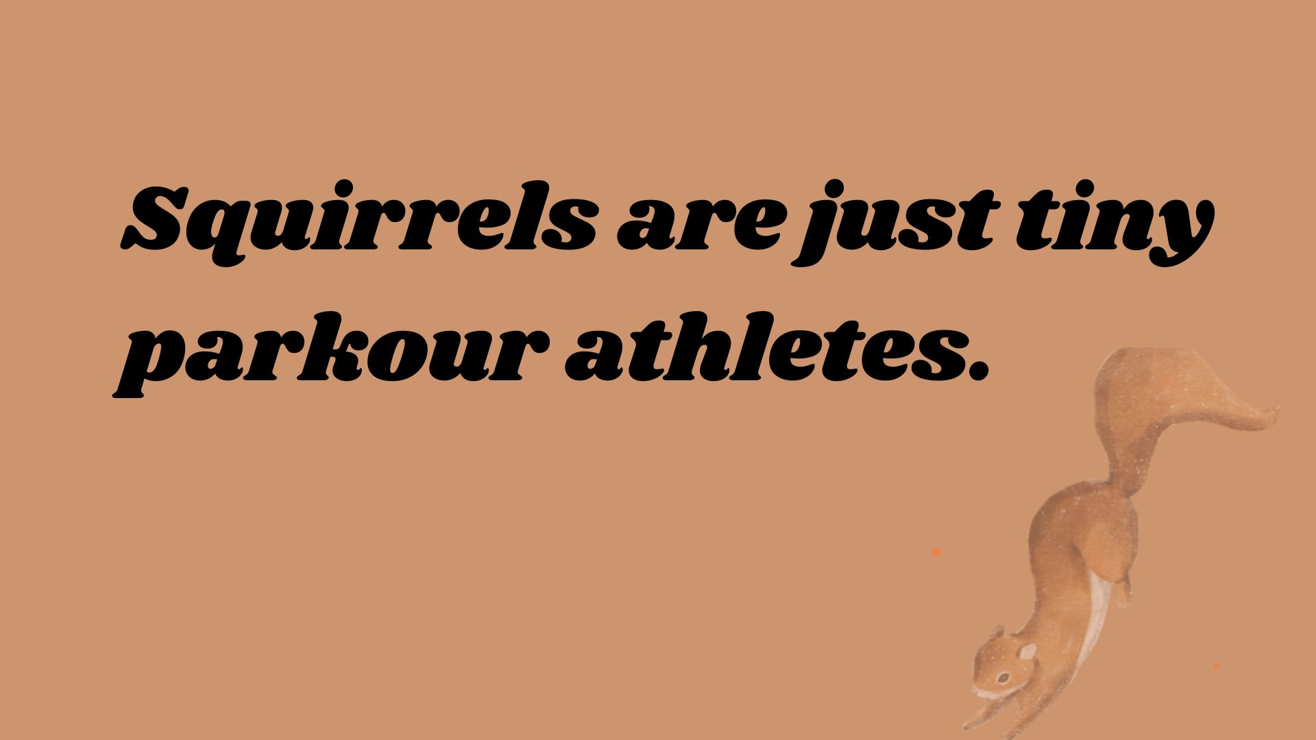 Squirrels are just tiny parkour athletes.